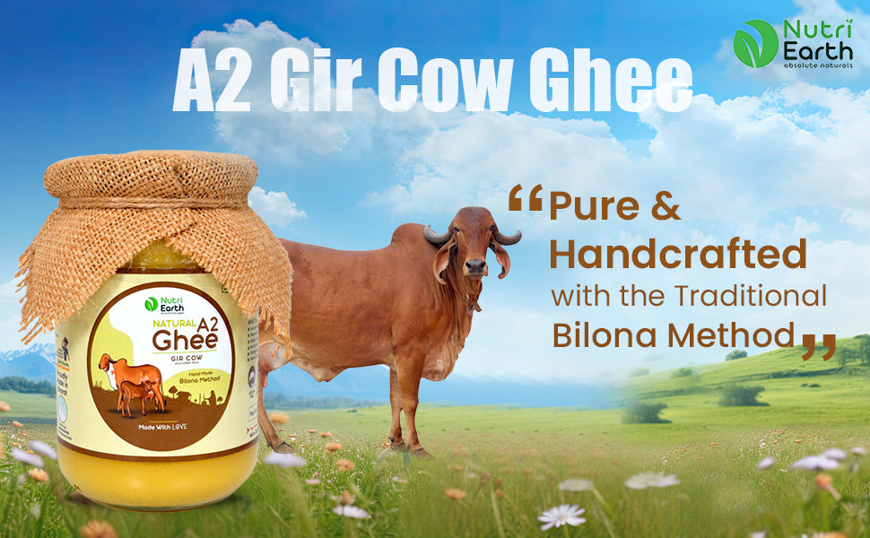 Nutriearth A2 Cow Ghee Gir in a glass jar, made from curd of Gir cow milk using Bilona method, no preservatives added