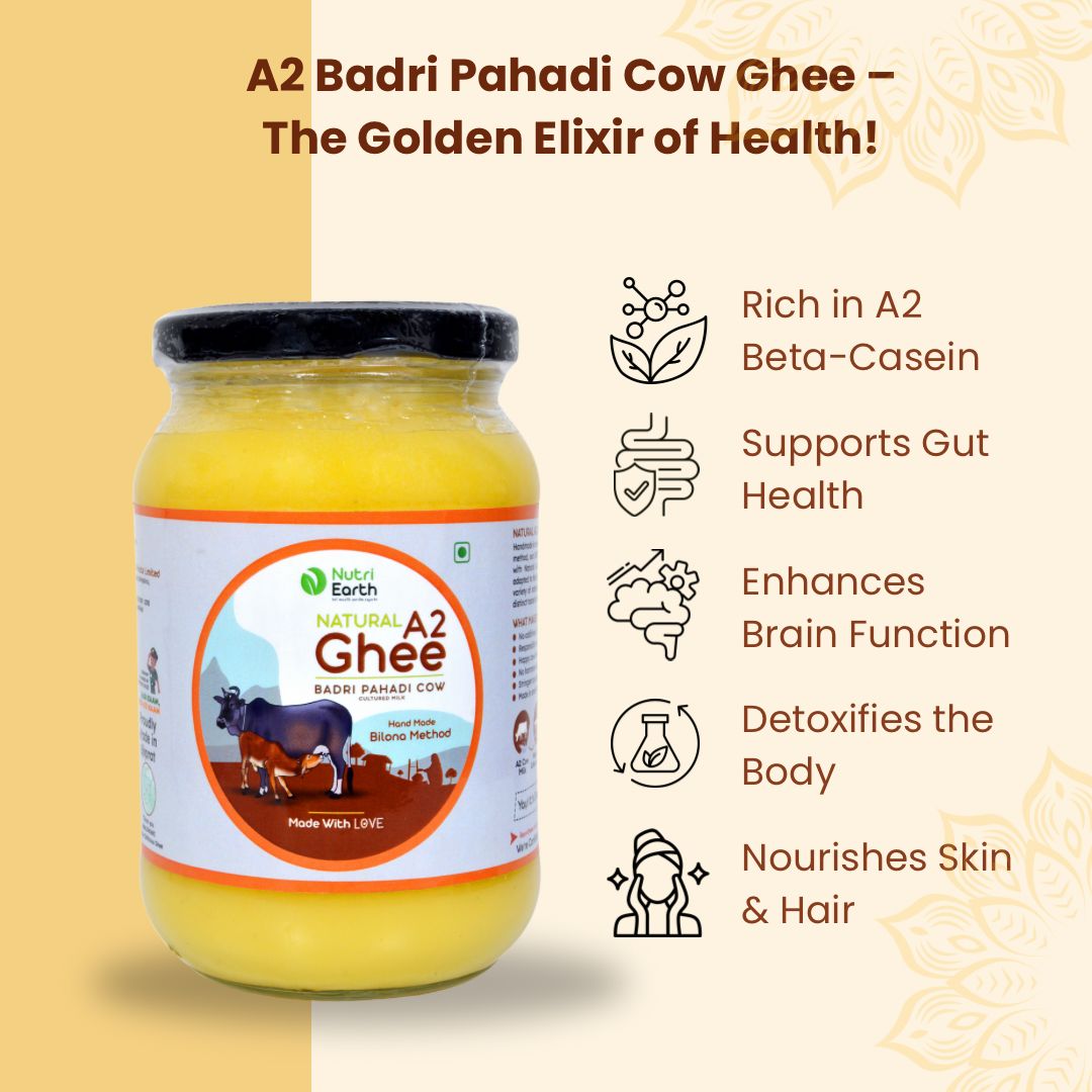 Nutriearth A2 Cow Ghee Badri (Himalayan Cow) in a glass jar with burlap lid, highlighting health benefits like antioxidants, Omega-3, and cholesterol balance.