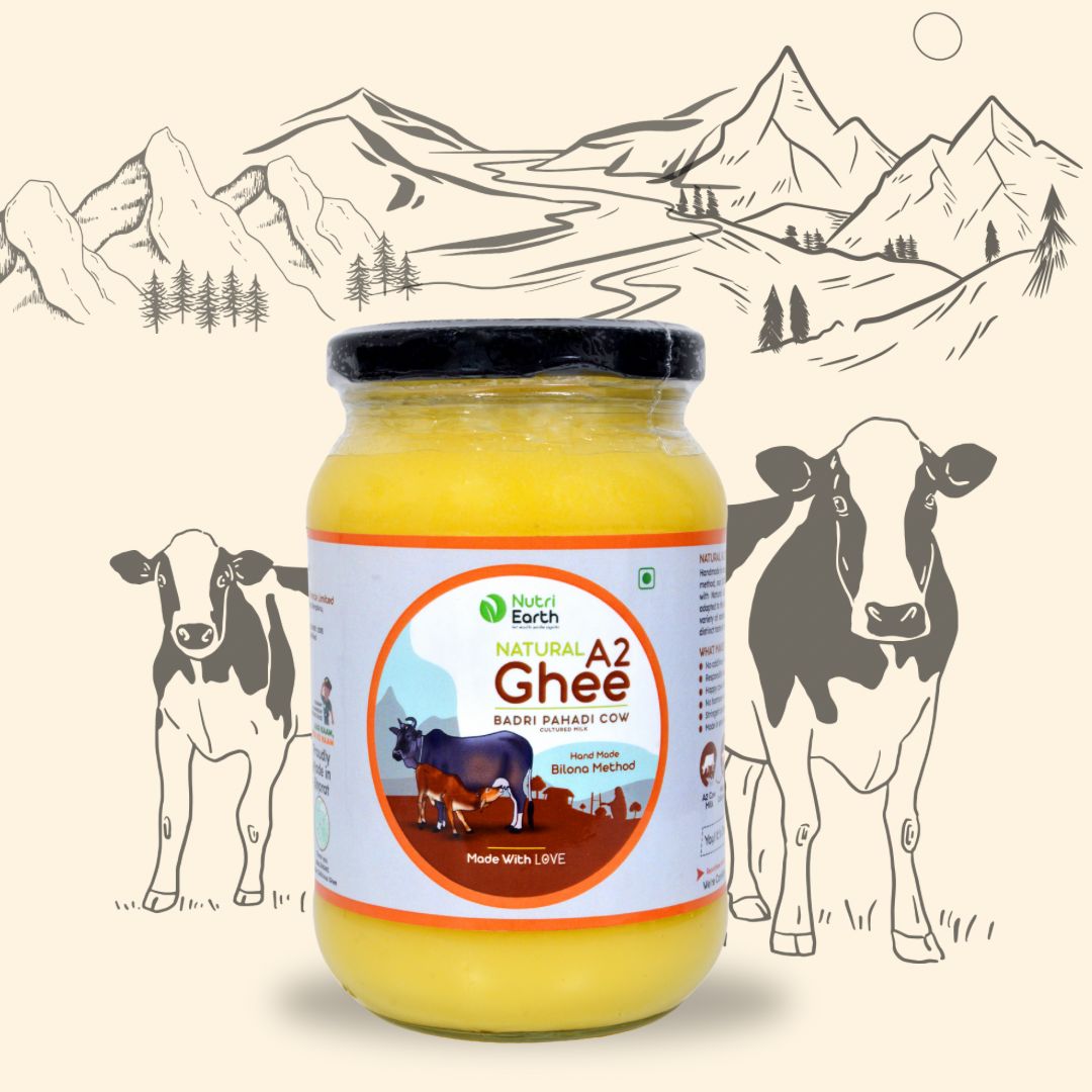 Nutriearth A2 Cow Ghee Badri(Himalayan Cow) in a glass jar with illustrated Himalayan cows and mountains, premium dairy product rich in A2 protein.