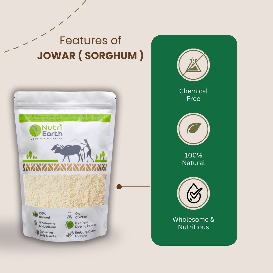 Jowar ( Sorghum )