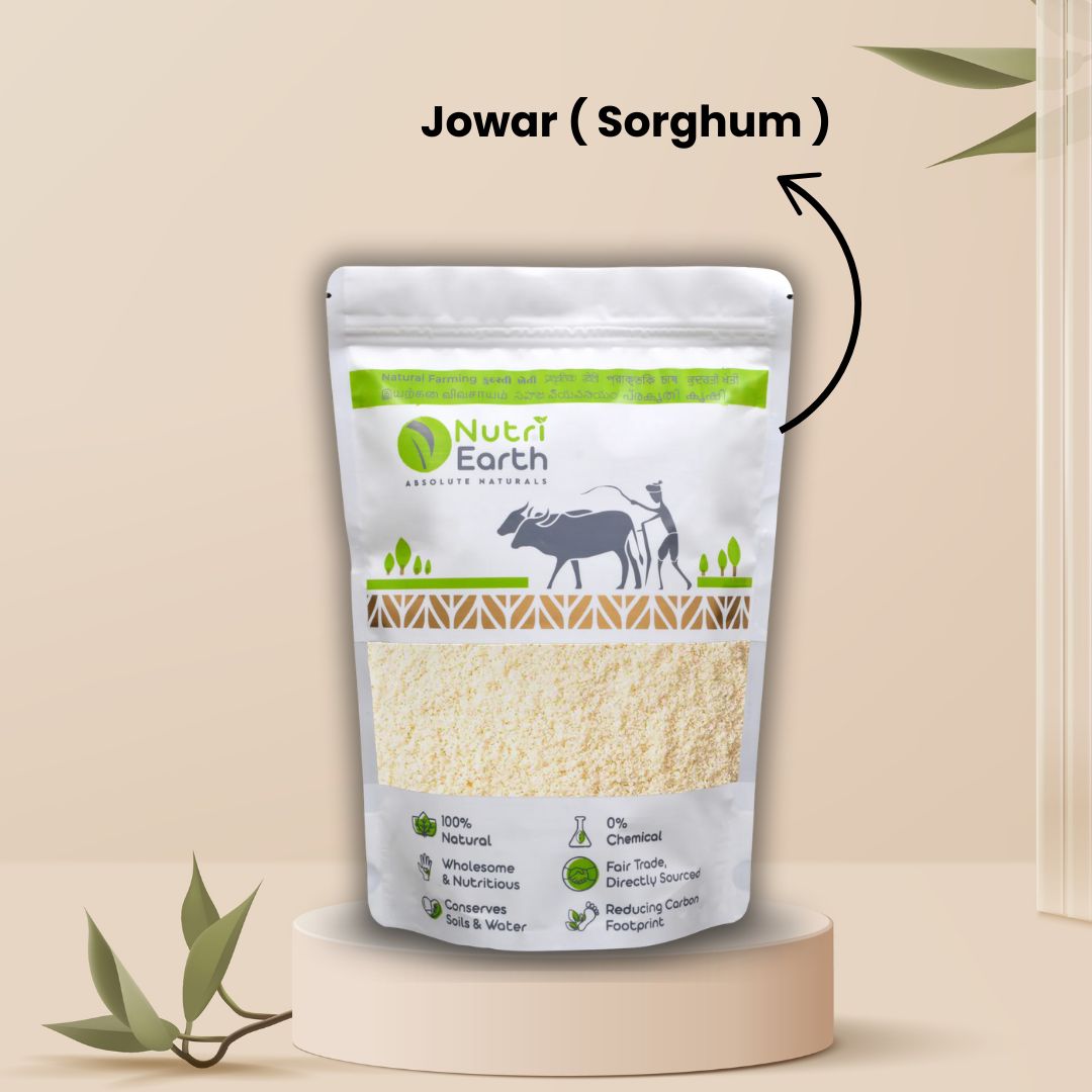 Jowar ( Sorghum )