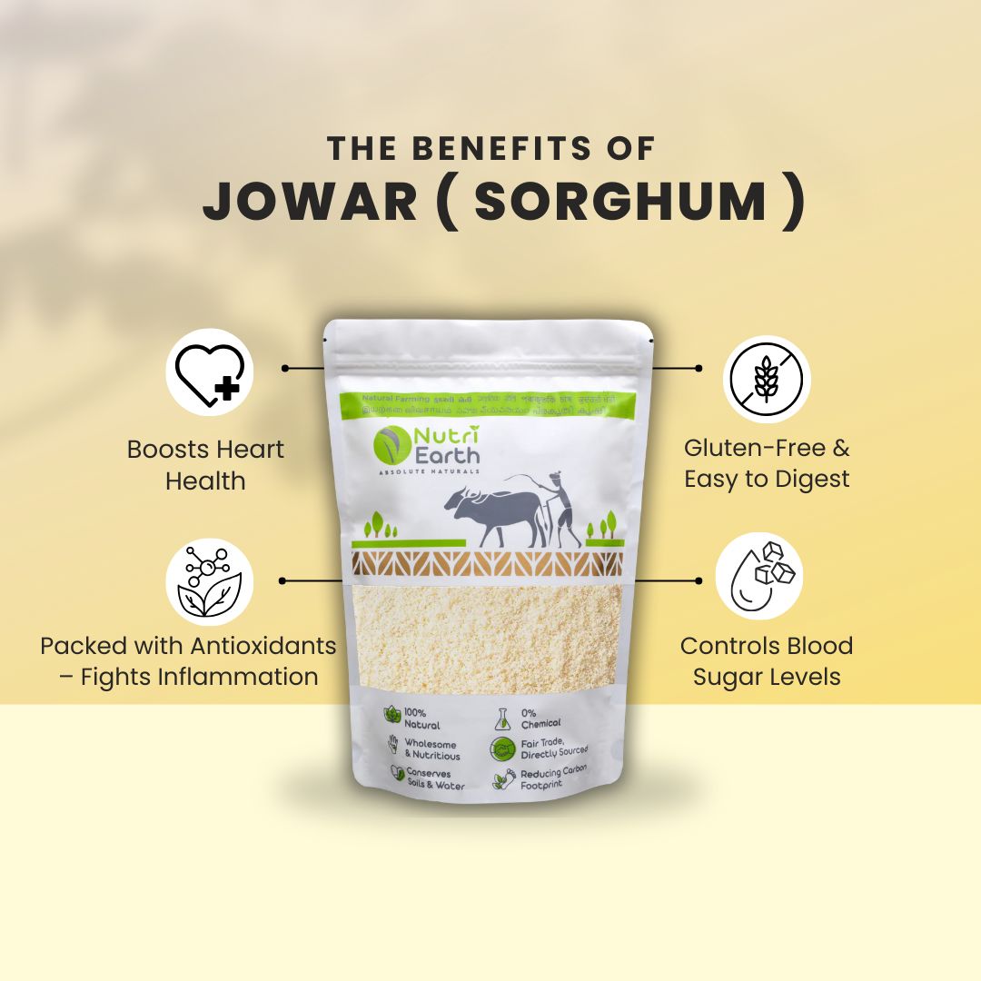 Jowar ( Sorghum )