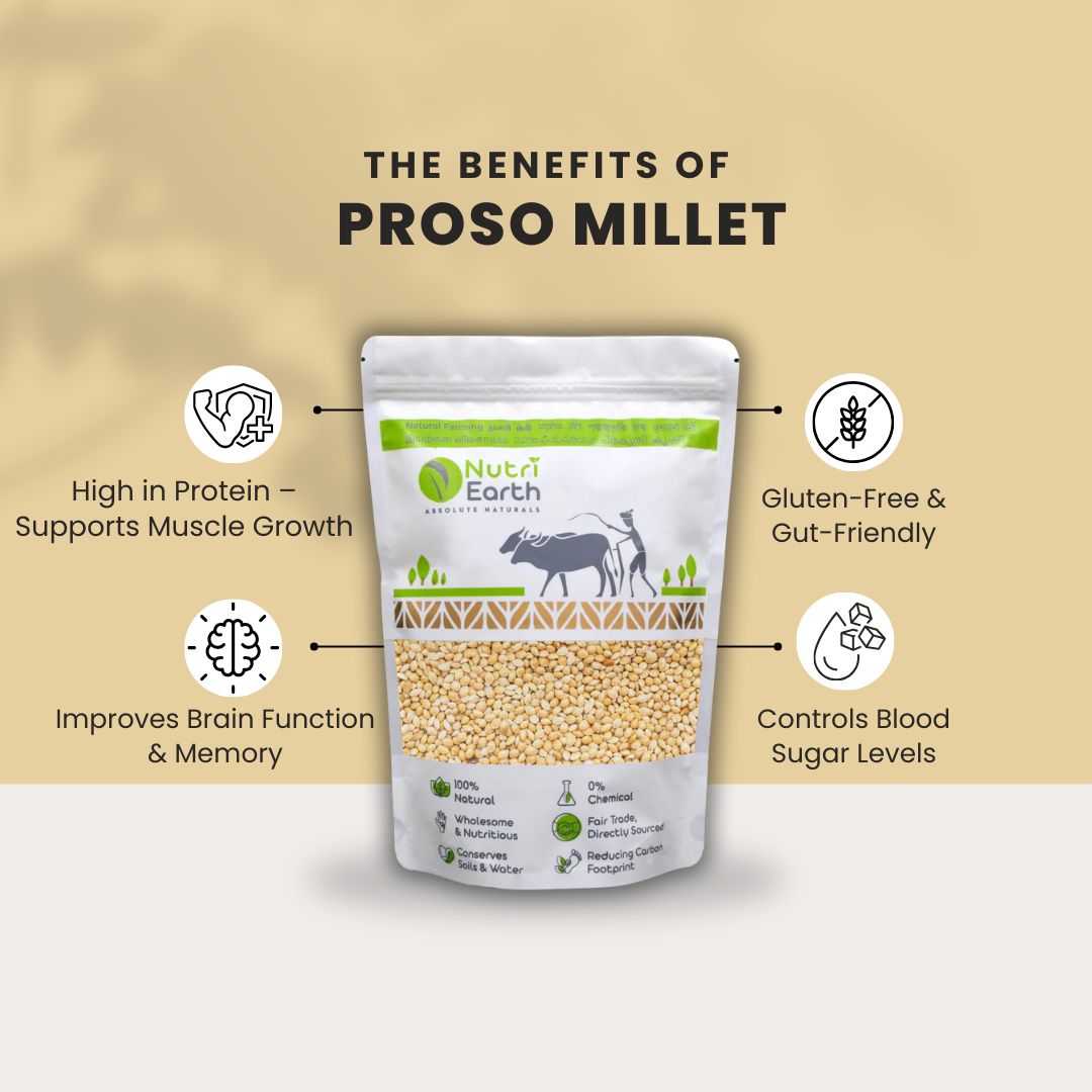 Proso Millet - Nutri Earth