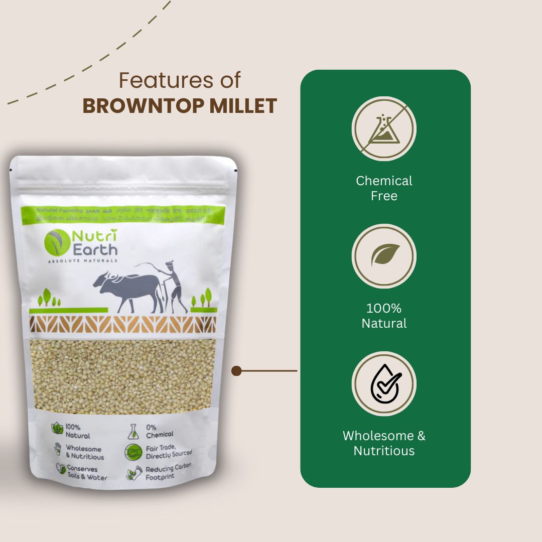 Browntop Millet - Nutri Earth