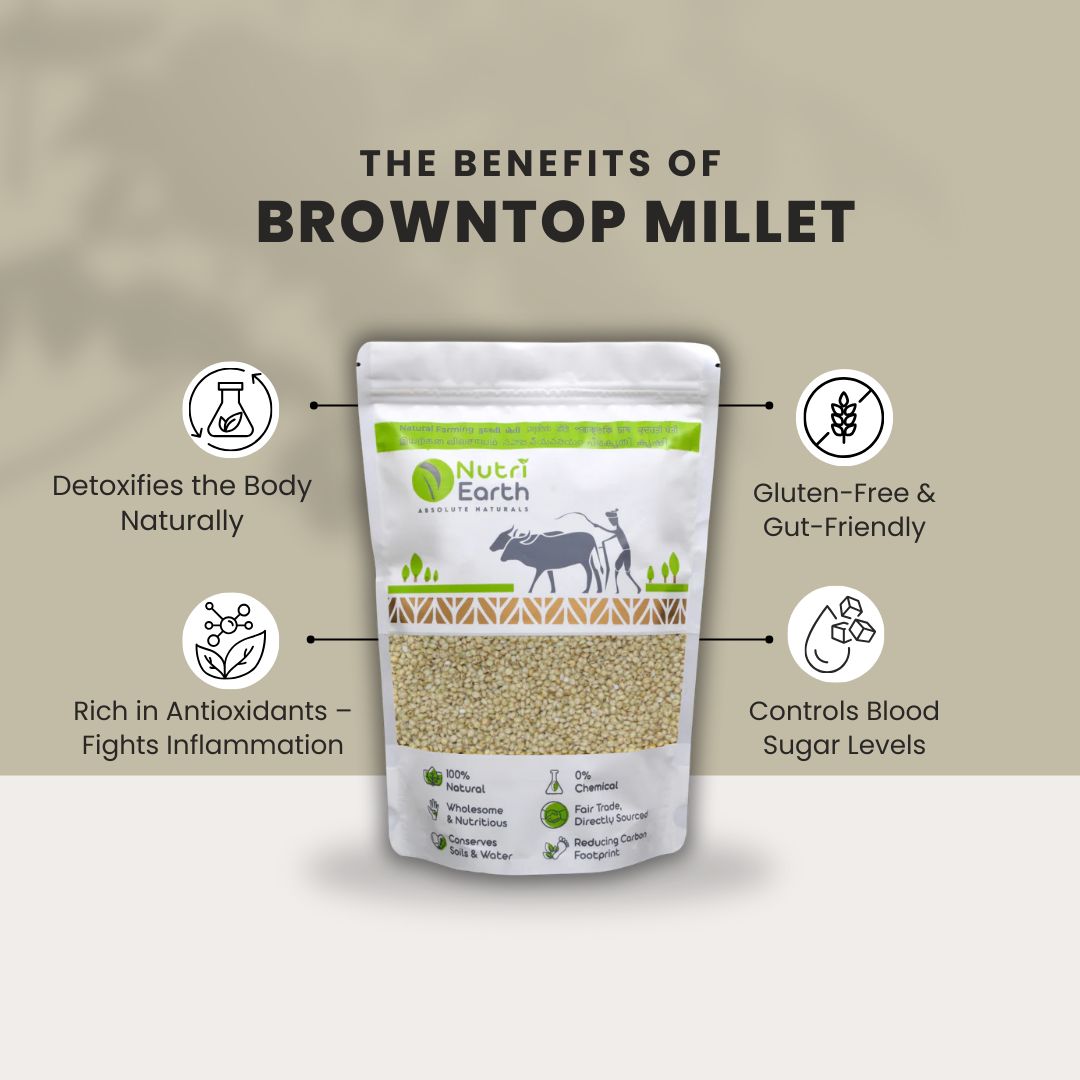 Browntop Millet - Nutri Earth