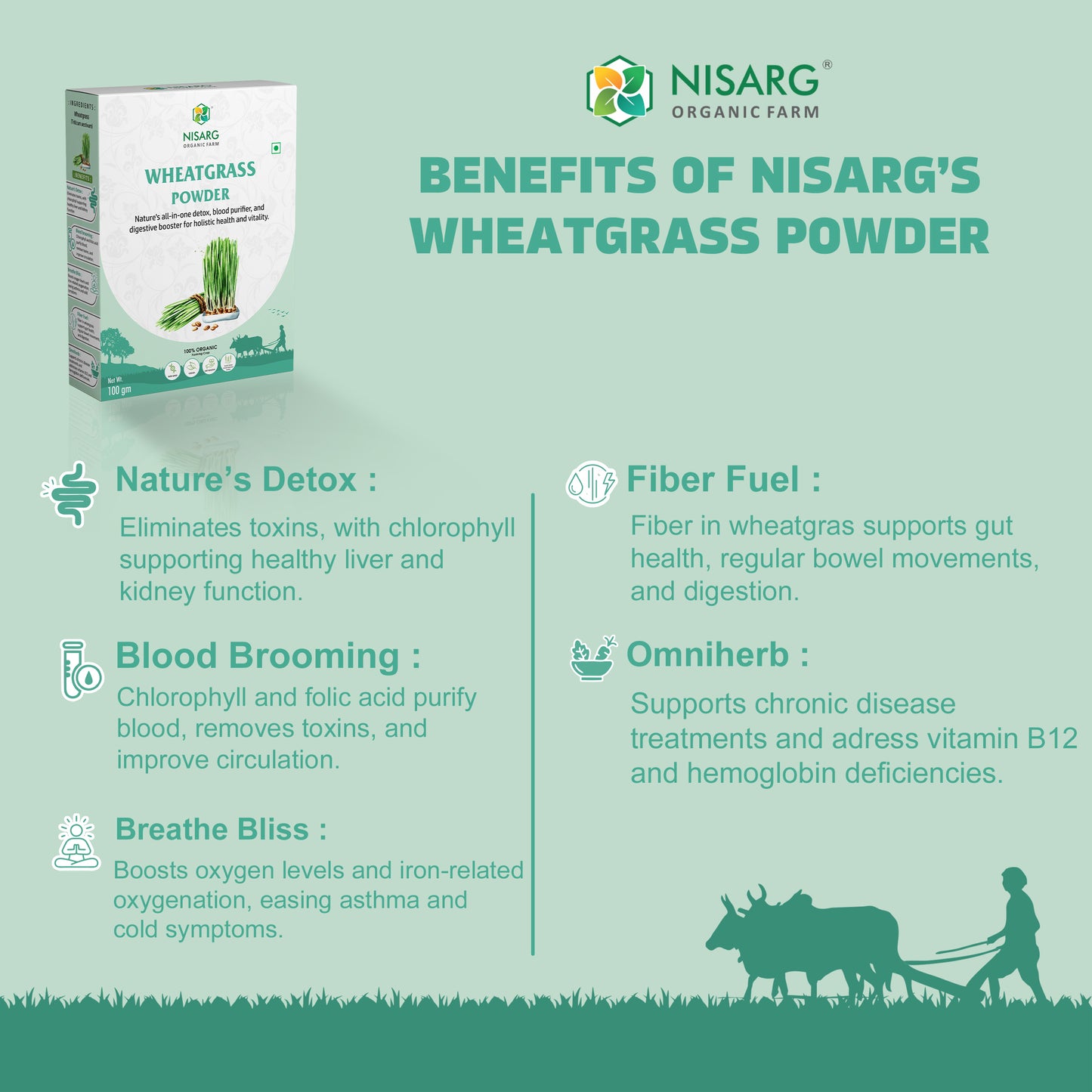 Wheat Grass Powder