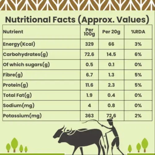 Jowar ( Sorghum ) - Nutri Earth