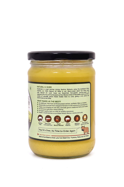 A2 Malnad Gidda Cow Ghee